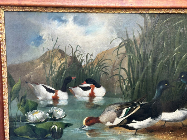Oil Painting on Canvas. Ducks in Pond with Water Lily Flowers. 19.5" H x 29.5" W